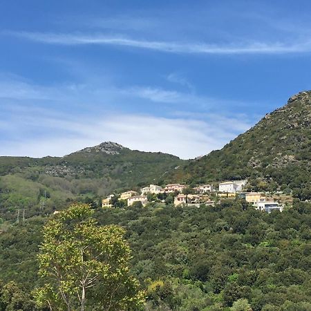 Charmant T2 Hauteurs De Bastia 바스티아 외부 사진
